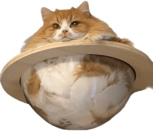 CATURN, a fat ginger cat seated in a wooden bowl, rendered as a ringed planet